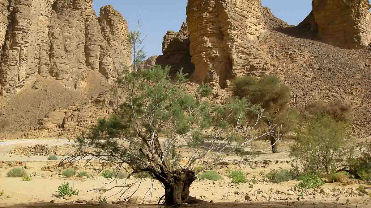 Alagerien: Guelta von Essendilene (Foto: Pixabay)